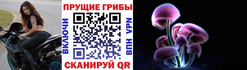 Галлюциногенные грибы мицелий  Малмыж 